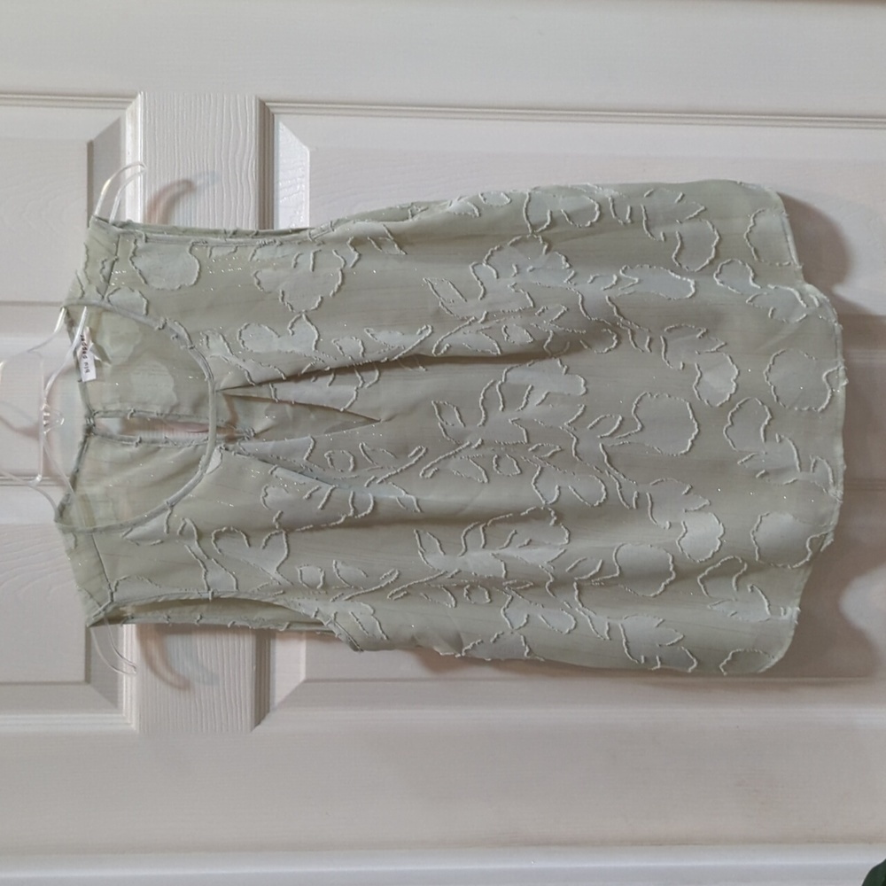 Blu Pepper Women's Mint Green Sleeveless Top w/Sheer Back Size Medium